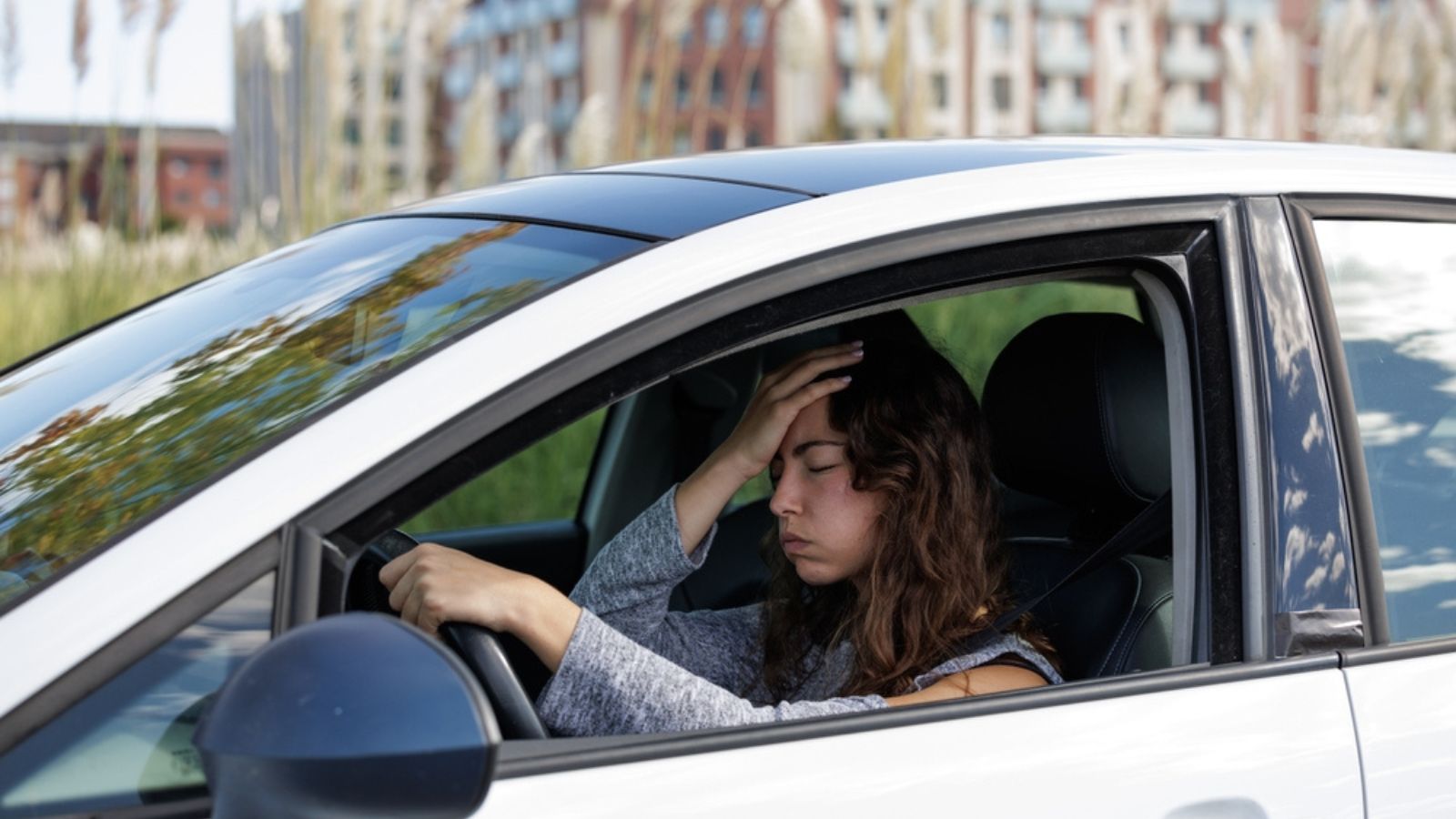 15 Critical Tips to Survive When Your Car Breaks Down in the Middle of ...